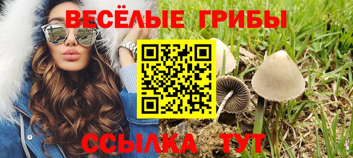 Псилоцибиновые грибы Psilocybine cubensis Ростов-на-Дону