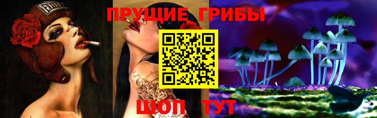 купить наркотики цена  Галлюциногенные грибы GOLDEN TEACHER  Ростов-на-Дону  Вход с VPN  Галлюциногенные грибы Cubensis 